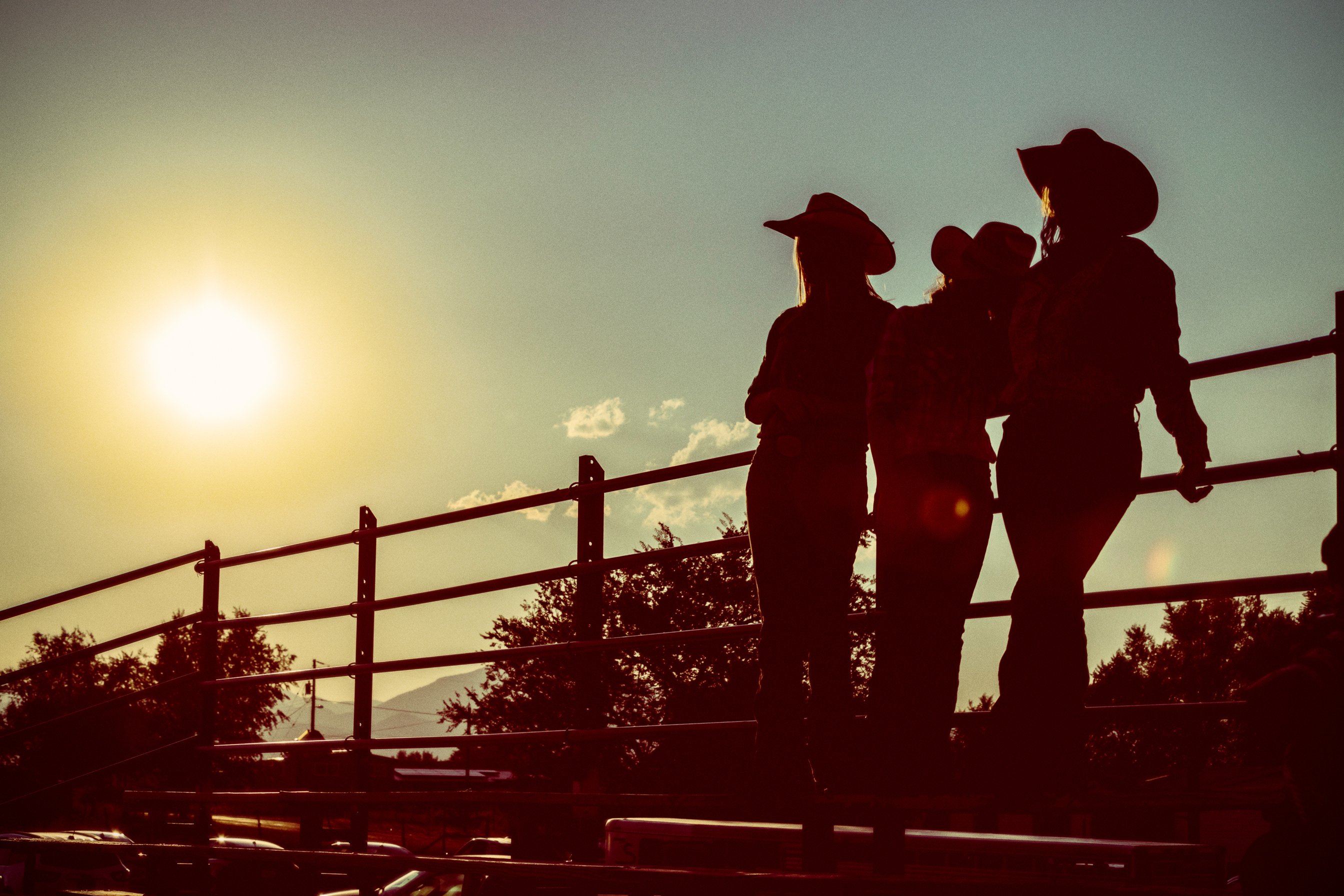 Silhouette Rodeo Audience